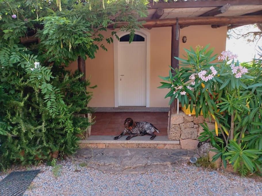 Suite Mirialveda San Pantaleo Esterno foto